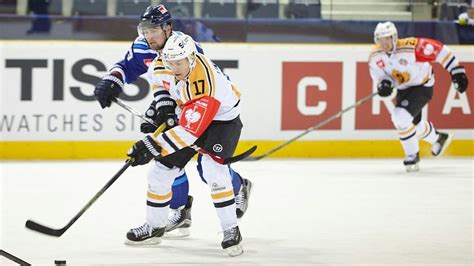 skellefteå aik hockey chl